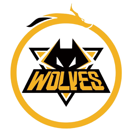 稳步前行的 稳步前行的