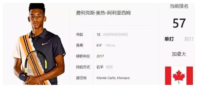 程序试验 程序试验