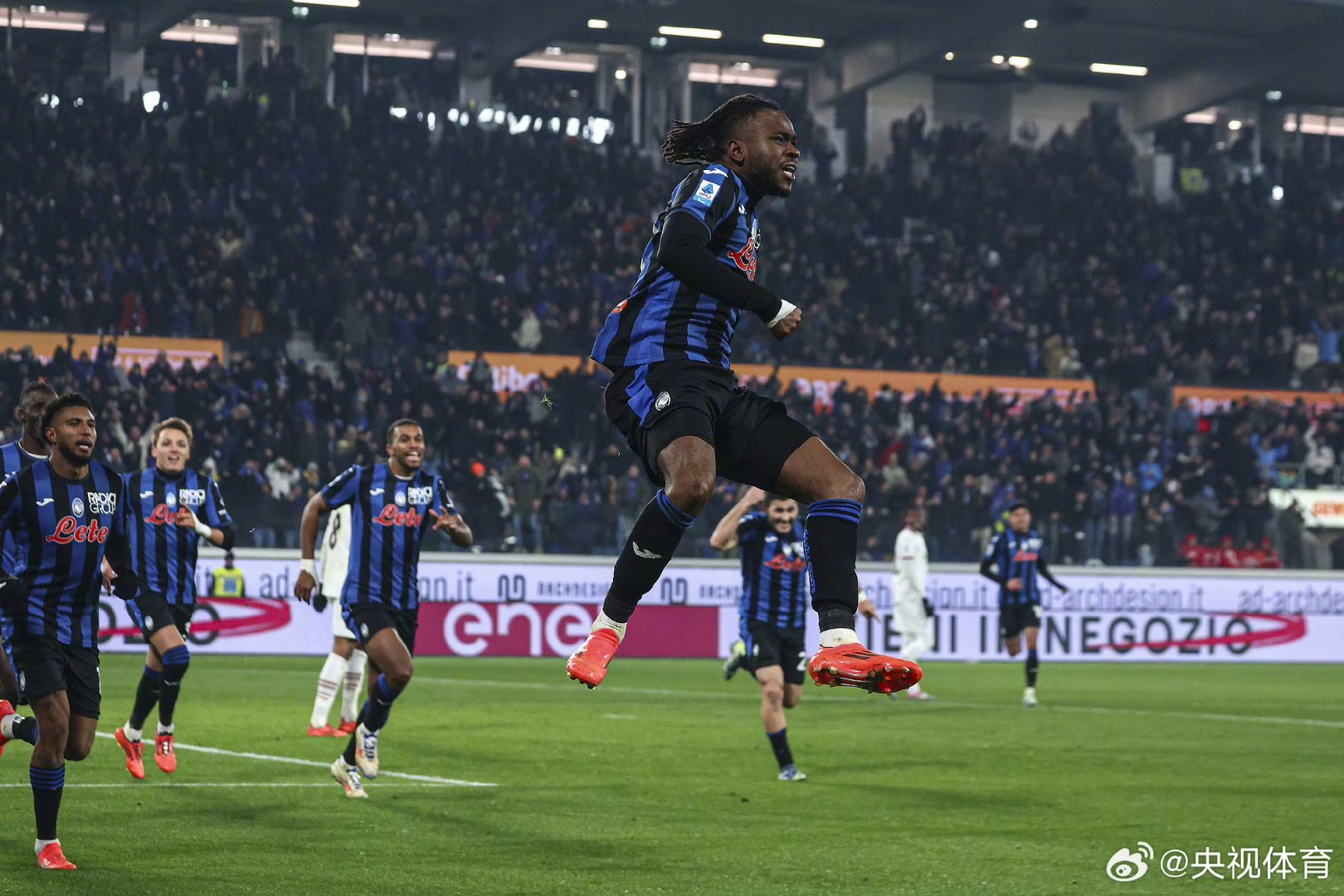 他们希望在 他们希望在